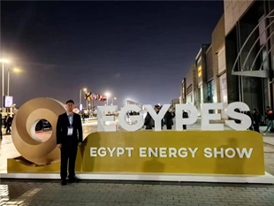 Longhua Group nahm an der Egypt Energy Show teil (EGYPES 2024)